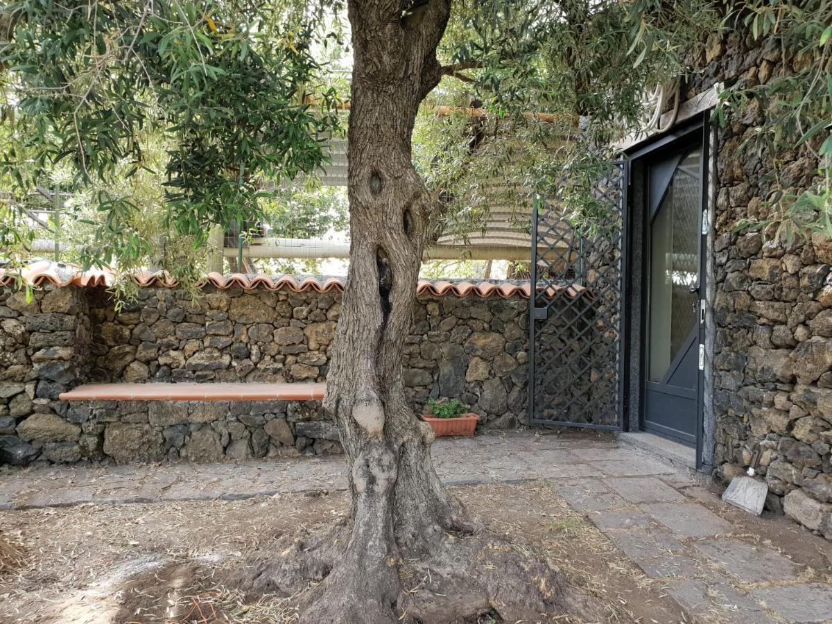 Ragalna Alle Pendici Dell'Etna المظهر الخارجي الصورة