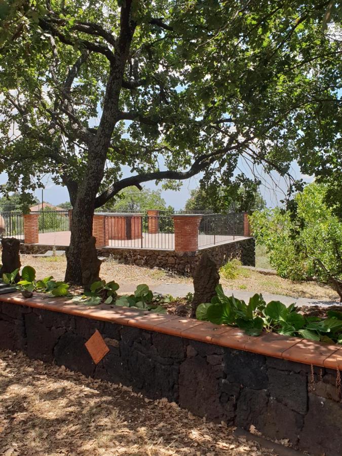 Ragalna Alle Pendici Dell'Etna المظهر الخارجي الصورة